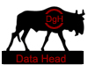 Data Head - 6,960 octets